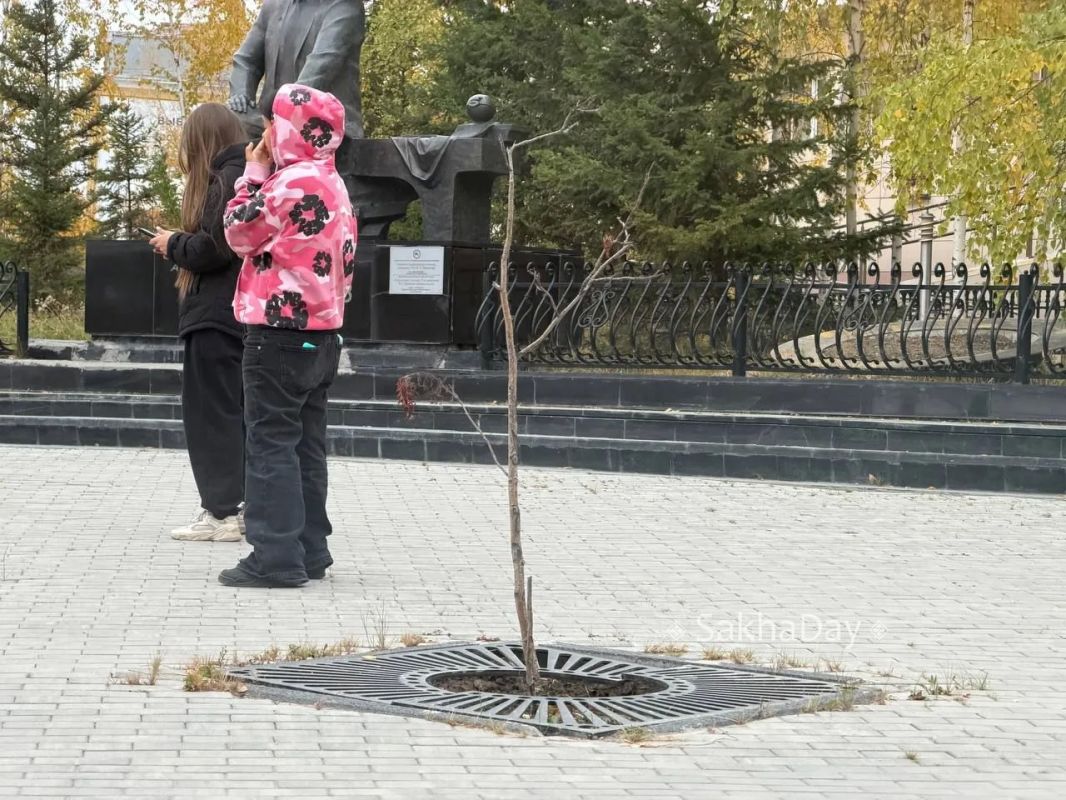 #пишут Так и не прижились. #дляsakhaday #пишут Так и не прижились. #дляsakhaday
