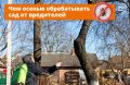 Осень — ключевой период для подготовки сада к зиме