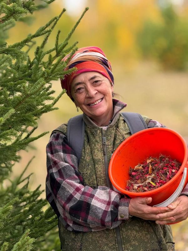 Якутянка показала, как варить сироп из шиповника Якутянка показала, как варить сироп из шиповника