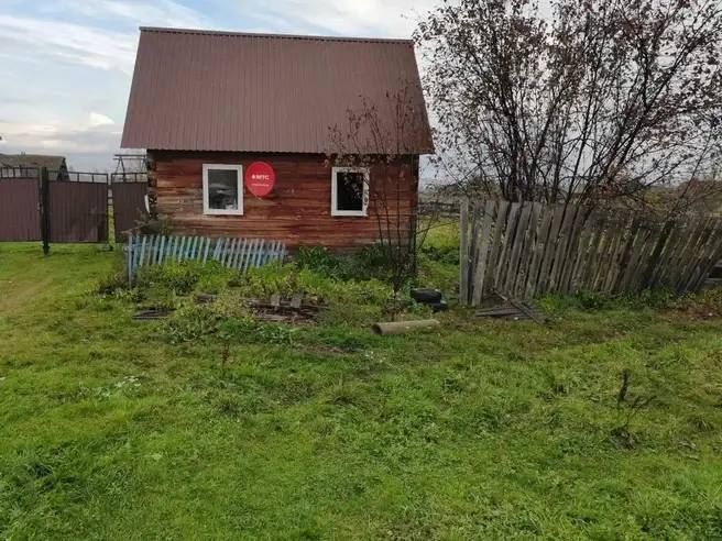 Медведь растерзал пожилую женщину в Красноярском крае
