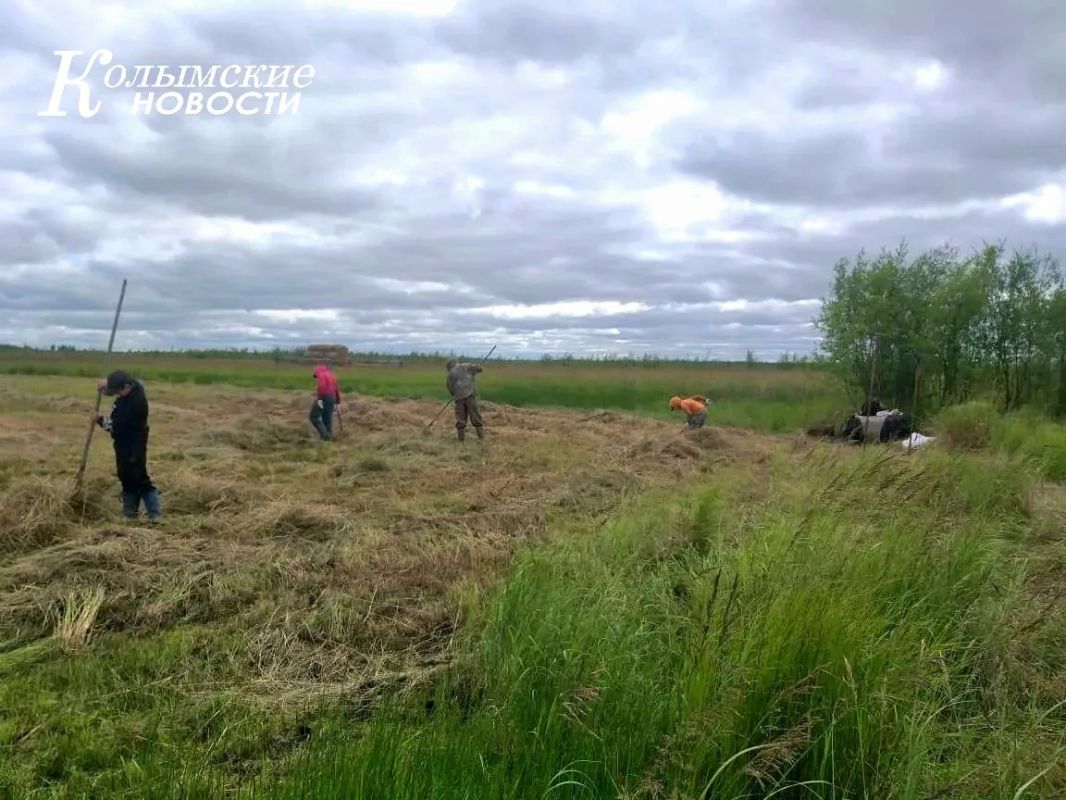 Завершение сенокосной страды в Верхнеколымском районе