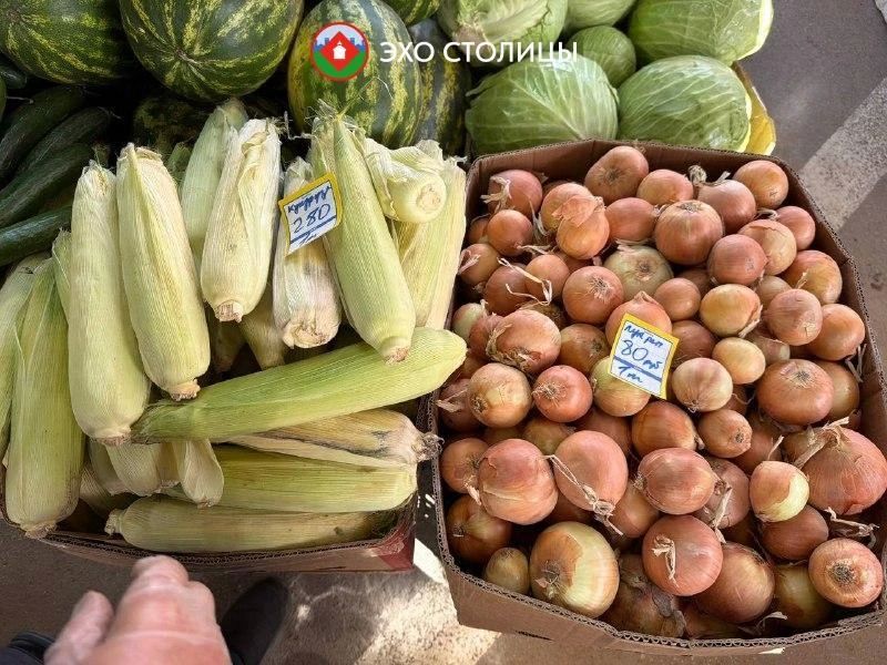 Обзор цен на ярмарке местной продукции на Комсомольской площади Обзор цен на ярмарке местной продукции на Комсомольской площади