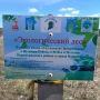 «Экологический лес» в Нерюнгринском районе стал чище благодаря участникам экологического проекта «Зеленый четверг»