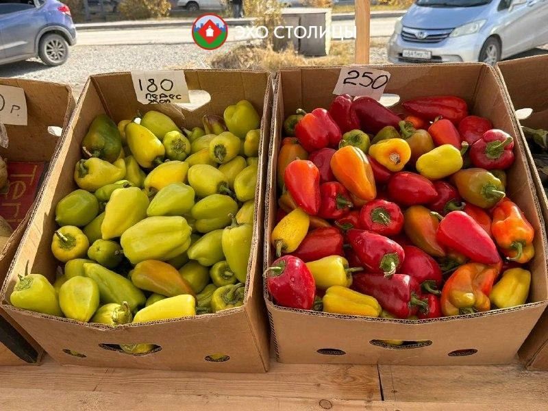 Обзор цен на ярмарке местной продукции на Комсомольской площади Обзор цен на ярмарке местной продукции на Комсомольской площади