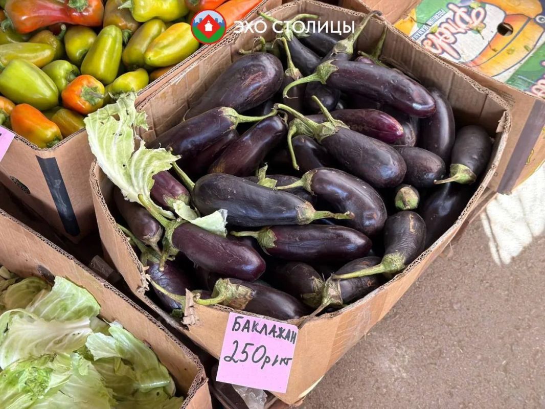 Обзор цен на ярмарке местной продукции на Комсомольской площади Обзор цен на ярмарке местной продукции на Комсомольской площади
