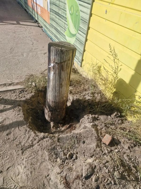 Акция «Город без пней» продолжается в Гагаринском округе! Акция «Город без пней» продолжается в Гагаринском округе!