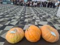 "Сарыал" култуура киинэ тэрийбит "Саамай улахан тыква - 2026” крэскэ Чычымахтан Ульяна Николаевна Табунанова, Ытык - Клтэн Татьяна Дмитриевна Иванова