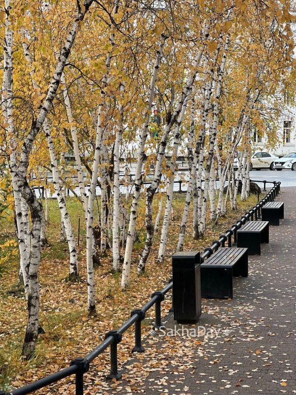 #пишут Осенние пейзажи в городе #отподписчицы #пишут Осенние пейзажи в городе #отподписчицы