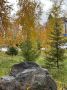 #пишут Осенние пейзажи в городе #отподписчицы