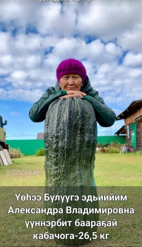 #Фотофакт: Жительница Верхневилюйска вырастила кабачок-рекордсмена