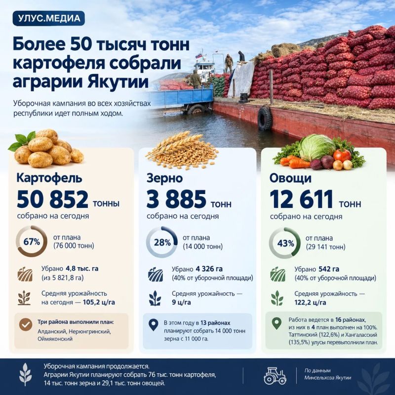 Урожай картофеля в Якутии уже превысил 50 тысяч тонн