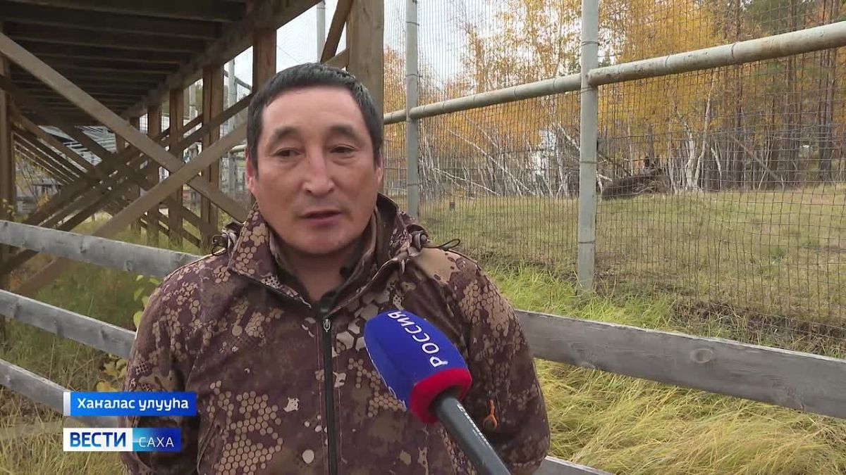 Орто дойду зоопарка кыыллара кыстыкка киирээри бэлэмнэнэллэр
