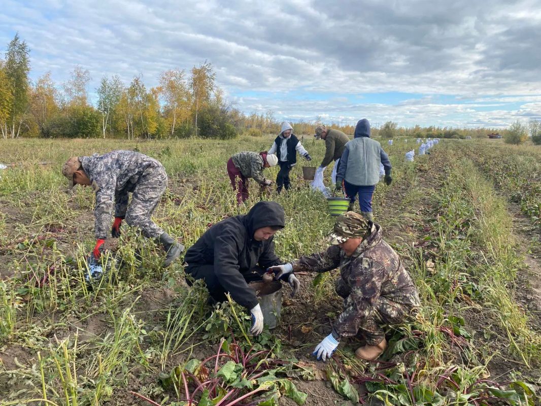 Уборочная кампания в Якутии идет полным ходом Уборочная кампания в Якутии идет полным ходом