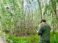 В Якутске СК начал проверку после нападения собаки на ребенка