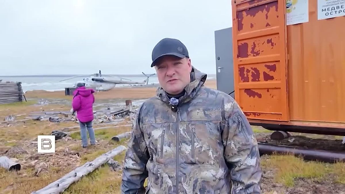 В Арктической зоне Якутии стартовала перепись белых медведей, которые занесены в Красную книгу России
