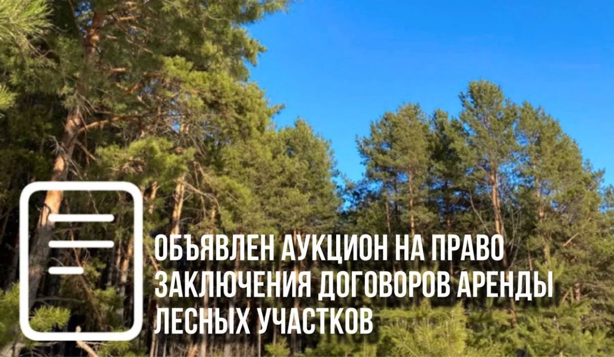 Министерство экологии, природопользовании и лесного хозяйства Республики Саха (Якутия) является уполномоченным органом по организации и проведении аукционов по продаже права на заключение договоров аренды лесных участков