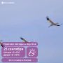 Штормовой ветер на побережье и сильные дожди: прогноз погоды в Якутии на пятницу