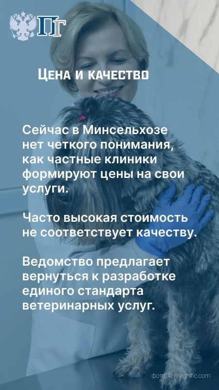 В России работают около девяти тысяч ветеринарных клиник, из которых более шести тысяч — частные учреждения В России работают около девяти тысяч ветеринарных клиник, из которых более шести тысяч — частные учреждения