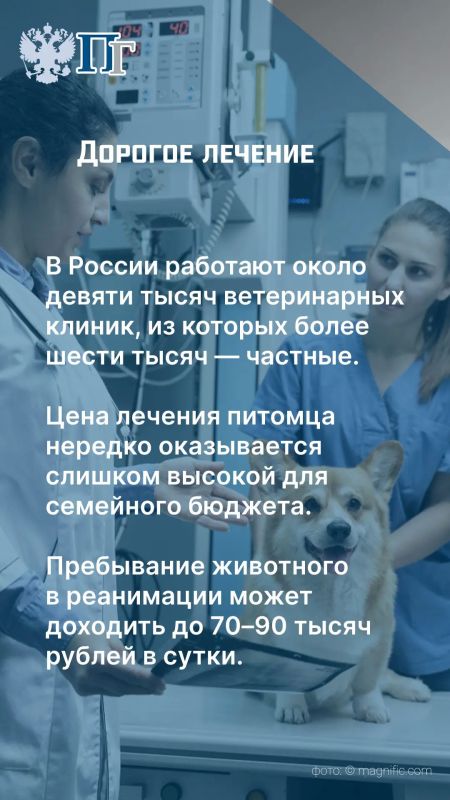 В России работают около девяти тысяч ветеринарных клиник, из которых более шести тысяч — частные учреждения В России работают около девяти тысяч ветеринарных клиник, из которых более шести тысяч — частные учреждения