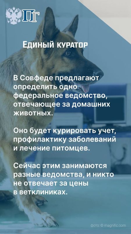 В России работают около девяти тысяч ветеринарных клиник, из которых более шести тысяч — частные учреждения В России работают около девяти тысяч ветеринарных клиник, из которых более шести тысяч — частные учреждения