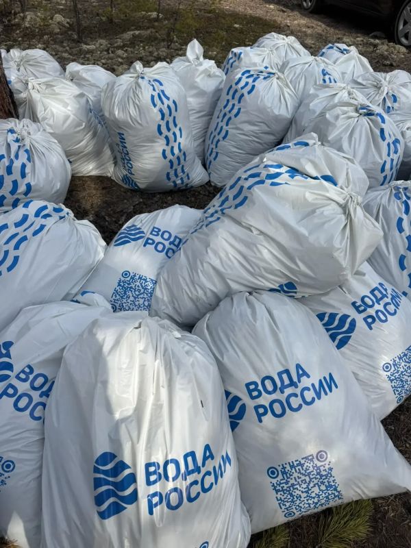 Молодежный совет провел субботник по очистке берега озера в селе Владимировка Молодежный совет провел субботник по очистке берега озера в селе Владимировка