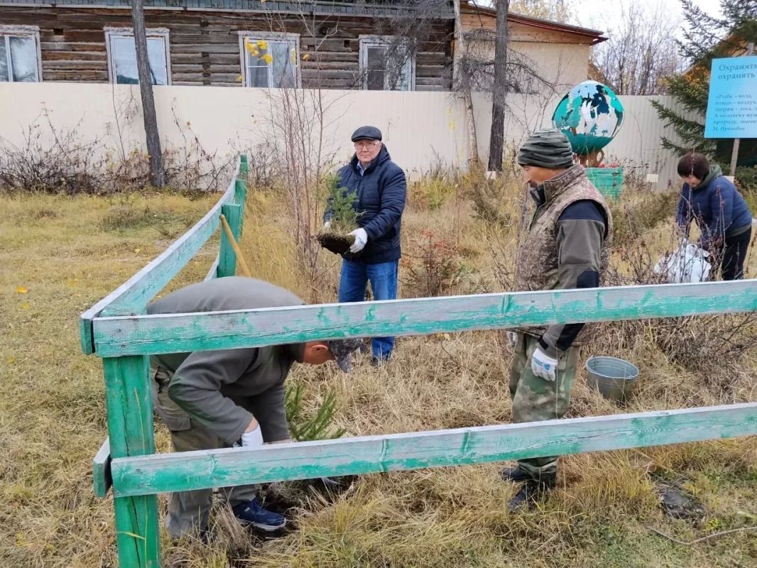 В Верхневилюйске высадили деревья и кустарники ко Дню государственности Республики В Верхневилюйске высадили деревья и кустарники ко Дню государственности Республики