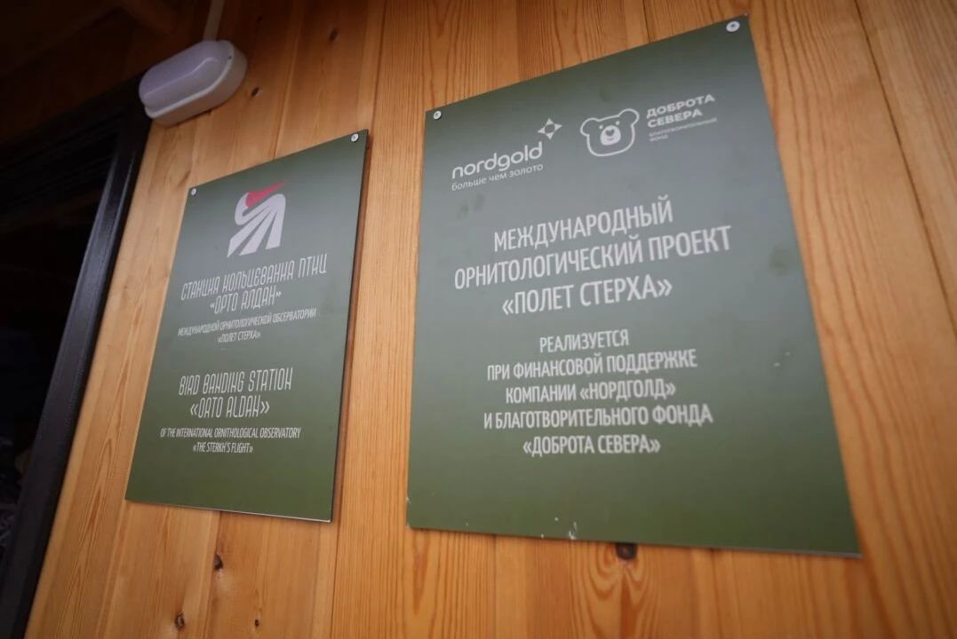 Около 600 стерхов насчитали орнитологи во время осенней миграции в Якутии Около 600 стерхов насчитали орнитологи во время осенней миграции в Якутии