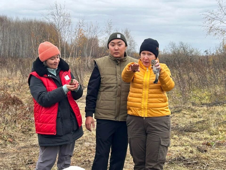 Около 600 стерхов насчитали орнитологи во время осенней миграции в Якутии Около 600 стерхов насчитали орнитологи во время осенней миграции в Якутии