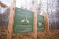 Около 600 стерхов насчитали орнитологи во время осенней миграции в Якутии