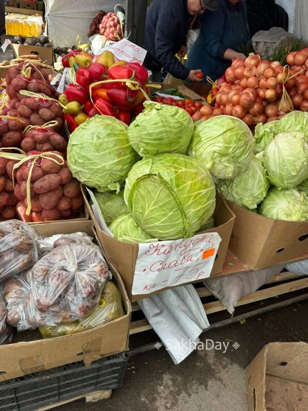 Цены на продовольственной ярмарке Цены на продовольственной ярмарке