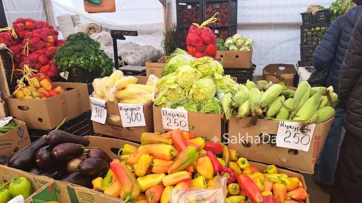 Цены на продовольственной ярмарке Цены на продовольственной ярмарке