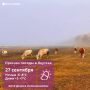 В Якутии 27 сентября местами ожидаются осадки и усиление ветра