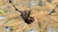 ������� ������ � ������ �� 28 ��������