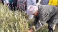 ВОЗВРАЩЕНИЕ К ИСТОКАМ: УРОКИ ЗЕМЛИ И ТРАДИЦИОННЫЙ СБОР УРОЖАЯ В МБОО ТУОРА-КЮЕЛЬСКОЙ СОШ В рамках реализации проекта Президентского фонда культурных инициатив (ПФКИ) на базе МБОО Туора-Кюельская СОШ Таттинского улуса РС(Я)...