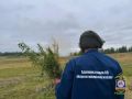 В Якутии уничтожено восемь тонн дикорастущей конопли