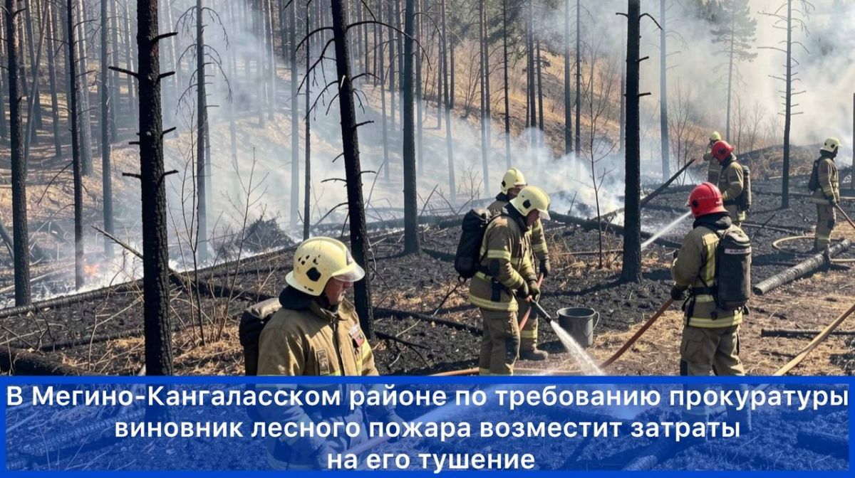 Новости прокуратуры на Едином портале прокуратуры РФ Новости прокуратуры на Едином портале прокуратуры РФ