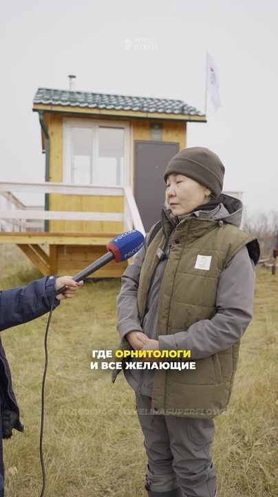 Неизведанная тайна якутских стерхов глазами видеографа Эвелины Поповой