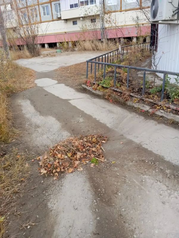 Субботники в Гагаринском округе проводятся ежедневно! Субботники в Гагаринском округе проводятся ежедневно!