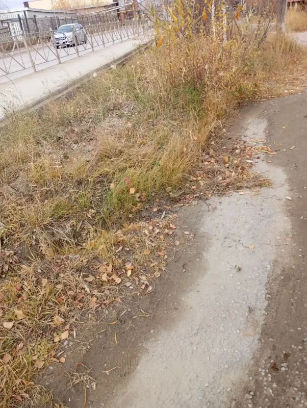 Субботники в Гагаринском округе проводятся ежедневно! Субботники в Гагаринском округе проводятся ежедневно!