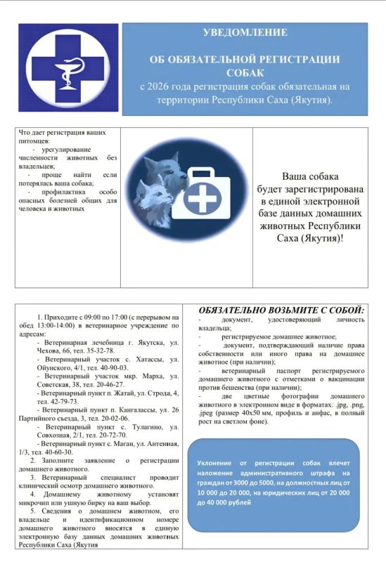 Уважаемые владельцы собак!