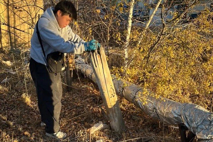 В Якутске в рамках акции «Город без пней» убрали около 2 тысяч пней