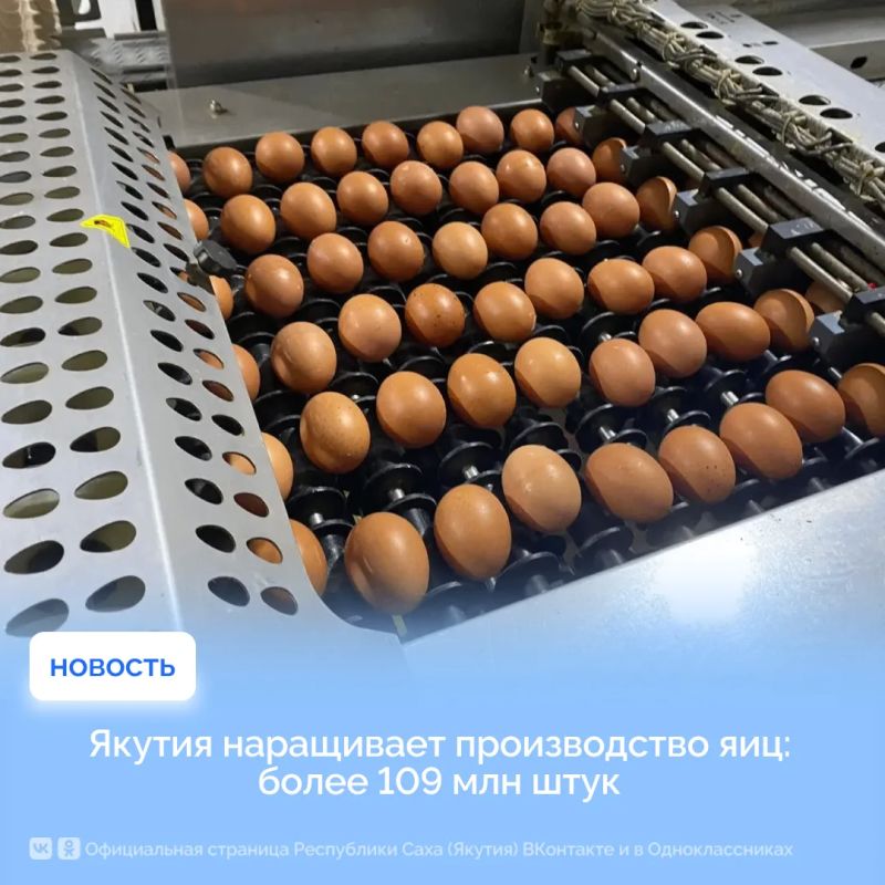 Якутия наращивает производство яиц: более 109 млн штук