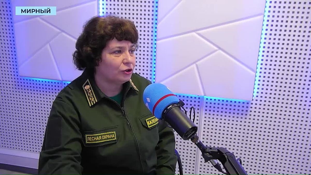 За год лесных пожаров в Мирнинском районе стало в четыре раза больше