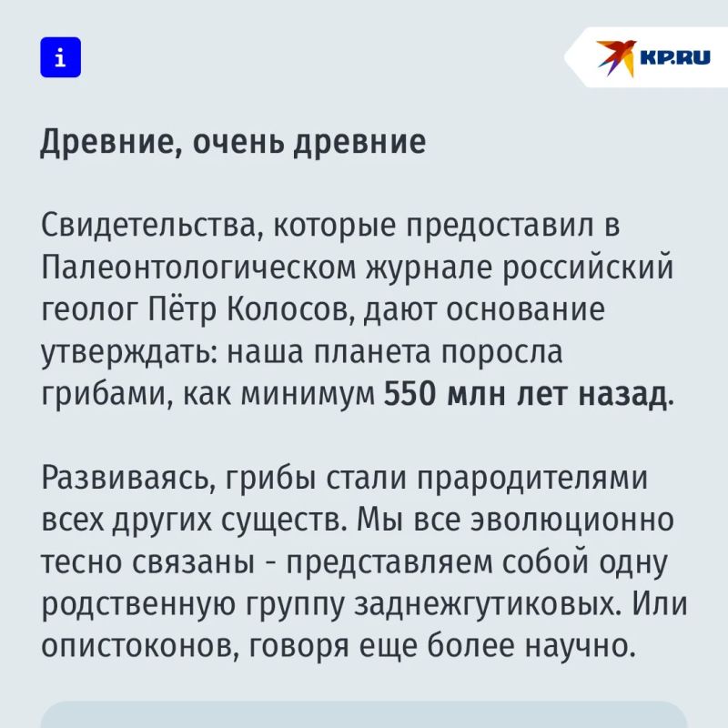 Люди все-таки произошли от грибов Люди все-таки произошли от грибов