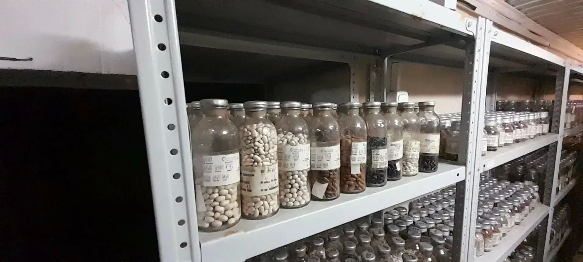 В Якутске начался эксперимент по длительному хранению продуктов в криохранилище