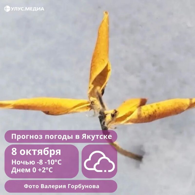 В четверг на севере и юго-востоке Якутии ожидается небольшой снег, в Якутске без осадков