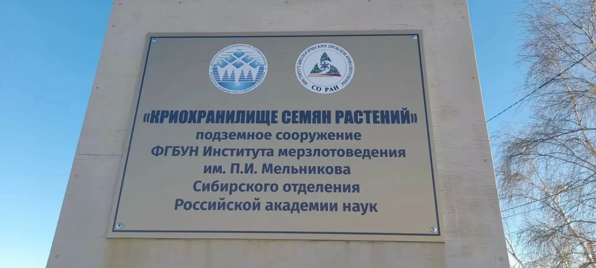 В Якутске начался эксперимент по длительному хранению продуктов в криохранилище В Якутске начался эксперимент по длительному хранению продуктов в криохранилище