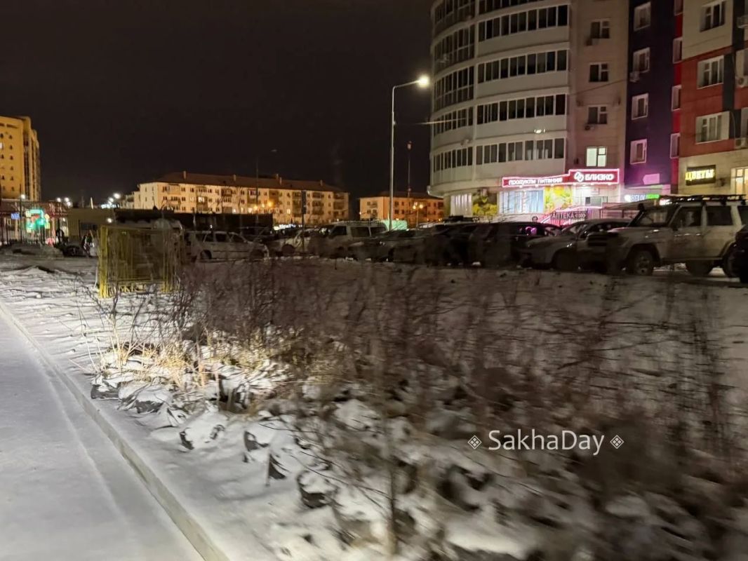 Кусты на Ефимова. #дляsakhaday