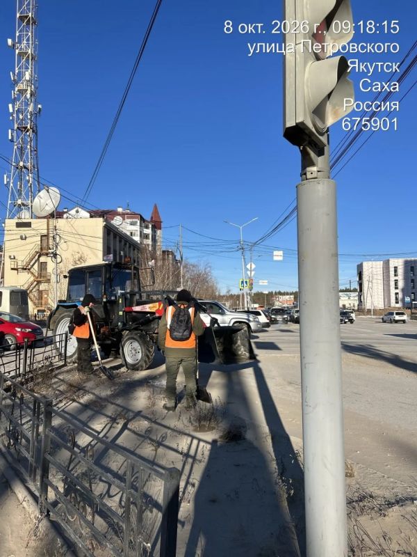 Очистка, подготовка и вывоз снега ул. Петровского/