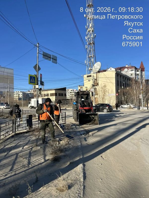 Очистка, подготовка и вывоз снега ул. Петровского